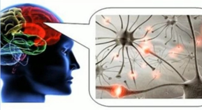 Нейронные связи в мозгу