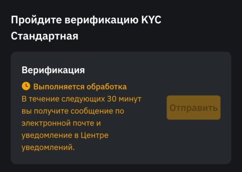 Проверка личности на сайте bybit через приложение на телефоне_13