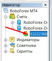 Создать демо счет на Робофорекс_8