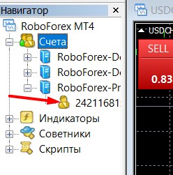 Создать реальный счет на Робофорекс_9